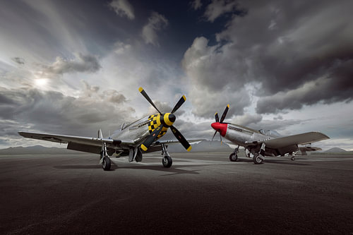 P-51 Mustang Legends