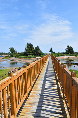 Une passerelle au parc