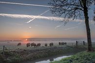 Ochtendgloren von Moetwil en van Dijk - Fotografie Miniaturansicht