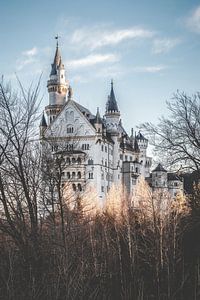 Schloss Neuschwanstein von Munich Art Prints