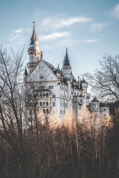 Neuschwanstein Castle by Munich Art Prints