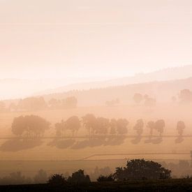 Matin brumeux sur Olivier Chattlain