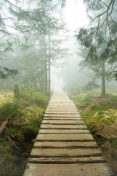 De weg de mist in van Holger W. Spieker