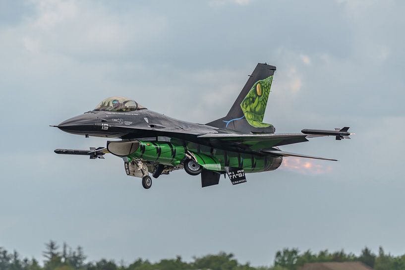 F-16 Demo Team Belgische Luftwaffe, Dream Viper. von Jaap van den Berg