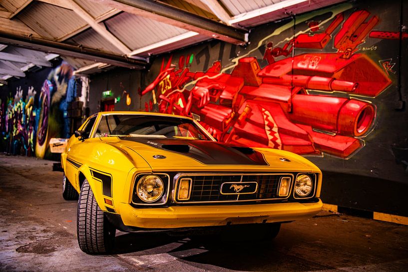 Ford Mustang Mach 1 von Brian Morgan