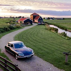 Citroën DS von Sim Van Gyseghem