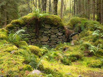 Eine verlassene von Willemijn Wolthaus