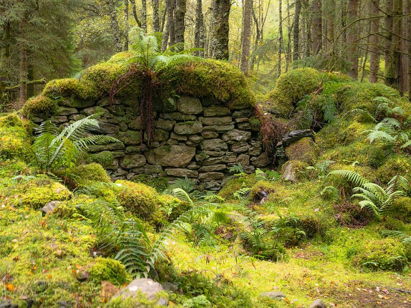 An abandoned by Willemijn Wolthaus