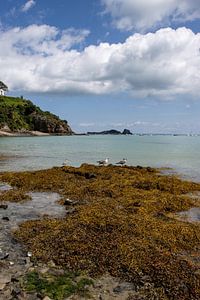 Cancale-Küste