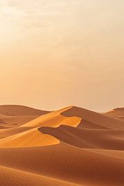 Golden dunes in the evening light by Dante S
