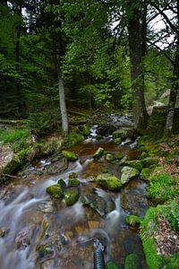 Chutes d'eau sacrées de la Forêt-Noire sur Tomasz_best_shots