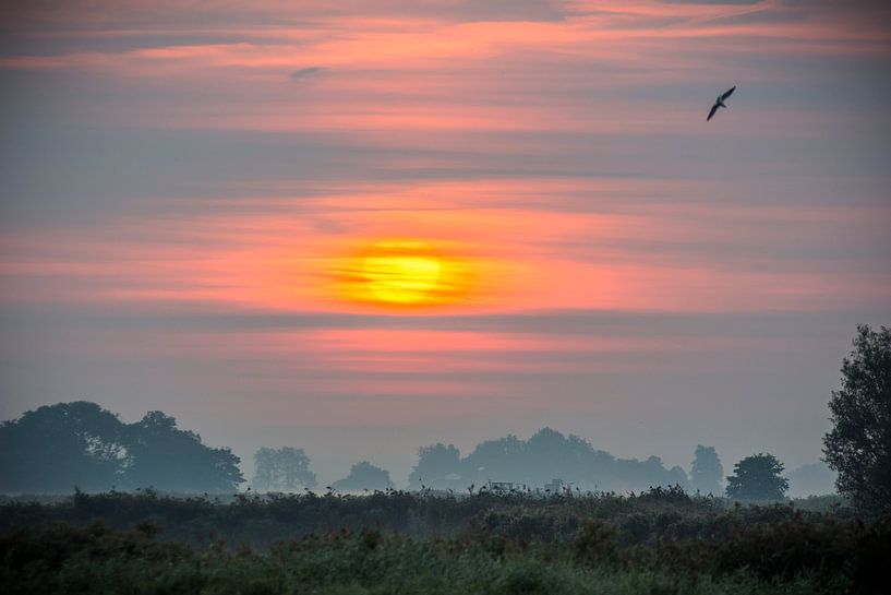 Zonsopgang in Friesland von AnyTiff (Tiffany Peters)