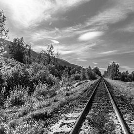 Spoorlijn door de Rockie Mountains van Canada sur Bart Veeken