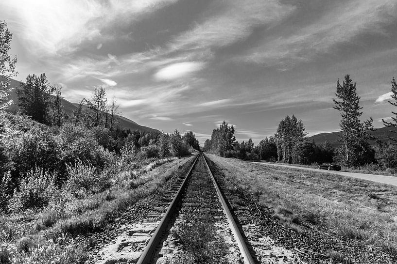 Spoorlijn door de Rockie Mountains van Canada van Bart Veeken