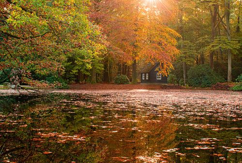 Trauerweide über Wasser von Ingrid van Wageningen