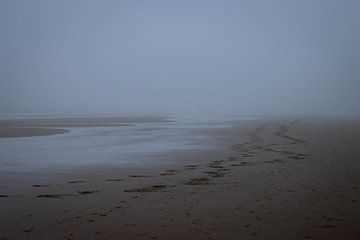 In het Oneindige van Sebastian Stef