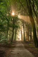 Der Weg zum Licht