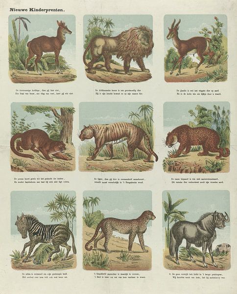 Du monde animal de H.M. van Dorp, 1872 - 1883 par Gave Meesters