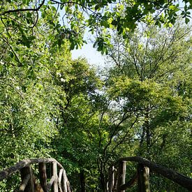 Brücke in der Natur von Martine Overkamp-Hovenga