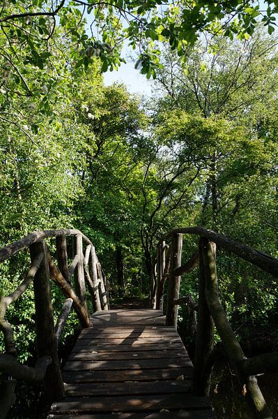 Bridge in nature by Martine Overkamp-Hovenga