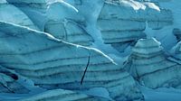 Gletsjer Detail van Daphne Photography thumbnail