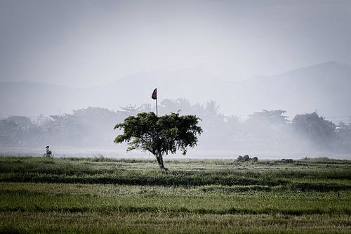 A peaceful rural landscape in the heart of Vietnam