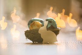 Easter bunnies everywhere by Tania Perneel