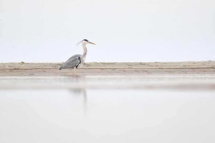 Strange beachgoer by Remco Stunnenberg