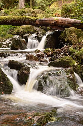De rivier de Ilse in het Harz Nationaal Park