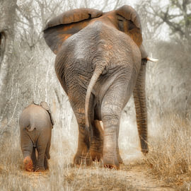 A Mother’s Love by Arthur Batenburg
