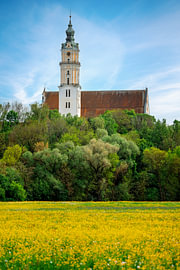 Liebfrauenmünster Donauwörth über gelber Frühlingswiese von ManfredFotos
