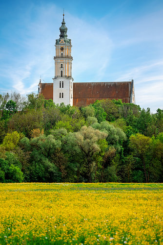 De Liebfrauenmünster in Donauwörth tegen de achtergrond van een gele lenteweide