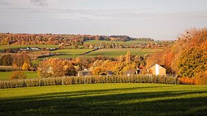 Herbst im Wolfhaag / Raren