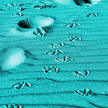 Turquoise gekleurde zandsporen op het duin van de Oostzee van Silva Wischeropp