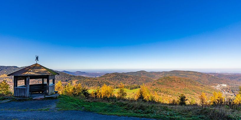 Schweizerkopf hut on the Westweg in the Black Forest by Werner Dieterich