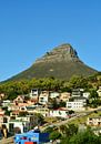 Lion's Head Cape Town by Werner Lehmann thumbnail