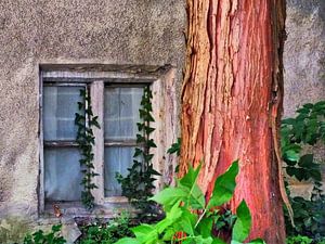 Fenster 02