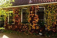 herfst huisje 