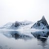 The fragile northern polar region on Spitsbergen by Gerry van Roosmalen