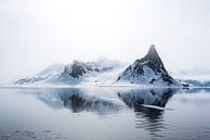 Het fragiele noordelijke poolgebied op Spitsbergen van Gerry van Roosmalen thumbnail