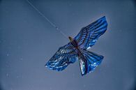 Drachenfestival Norderstedt by Dirk Bartschat thumbnail