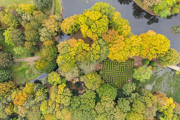 A maze in a castle garden in autumn