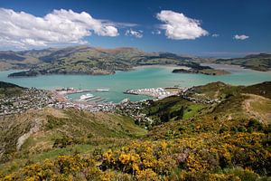 Gezicht op Lyttelton (Christchurch), Nieuw-Zeeland van Christian Müringer