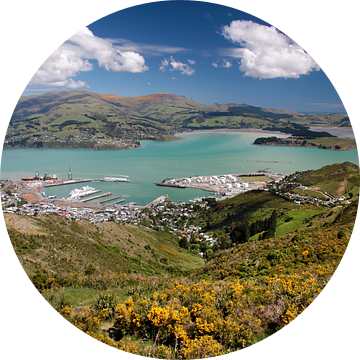 Gezicht op Lyttelton (Christchurch), Nieuw-Zeeland