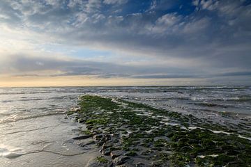 Stimmungsvolle Meereslandschaft an der niederländischen Küste