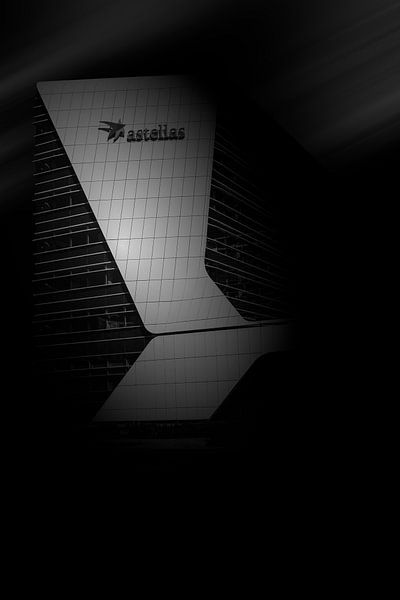 Astellas Leiden by Edwin van Meerveld