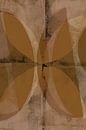 Abstracte vormen in terracotta, zwart en wit. van Dina Dankers thumbnail