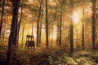 Jäger Stuhl im Herbstwald von Tanja Riedel Miniaturansicht