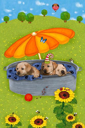 My funny dogs Tim, Tom and Teddy by Marion Krätschmer