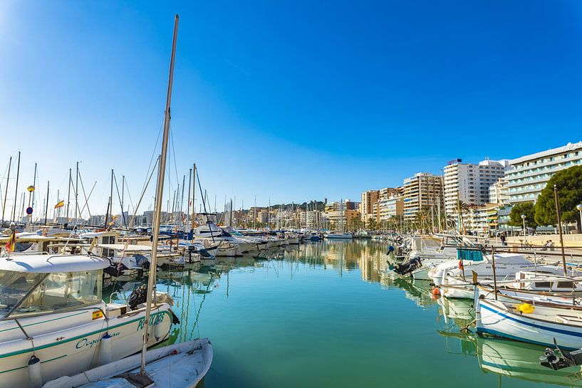 Stad en boten bij jachthaven aan kust van Palma de Majorca, Balearen, Middellandse Zee van Alex Winter
